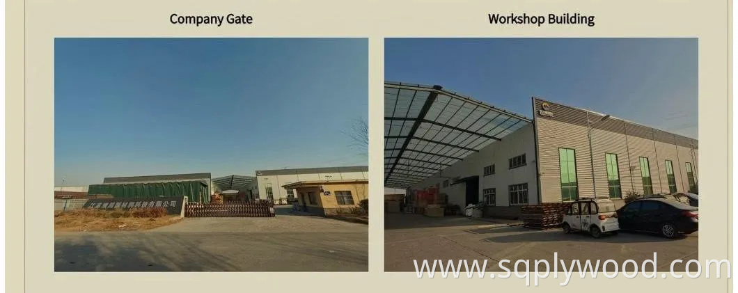 Versatile 12mm and 18mm Waterproof for Interior and Exterior Use Melamine Plywood Sheets